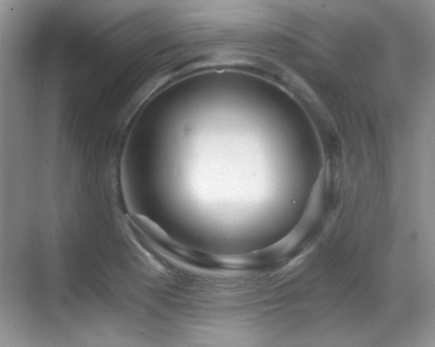 X0000069831177200605191132