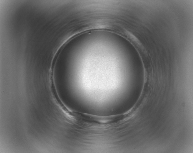 X0000069831178200605191132