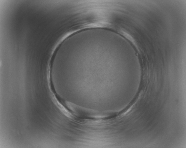 X0000069831179200605191132