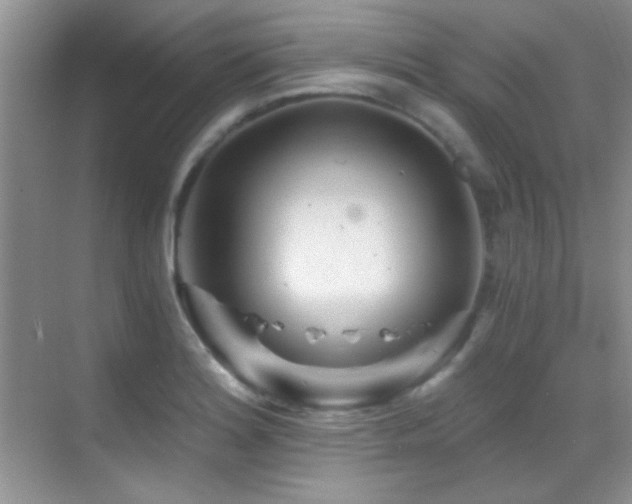 X0000069831180200605191132