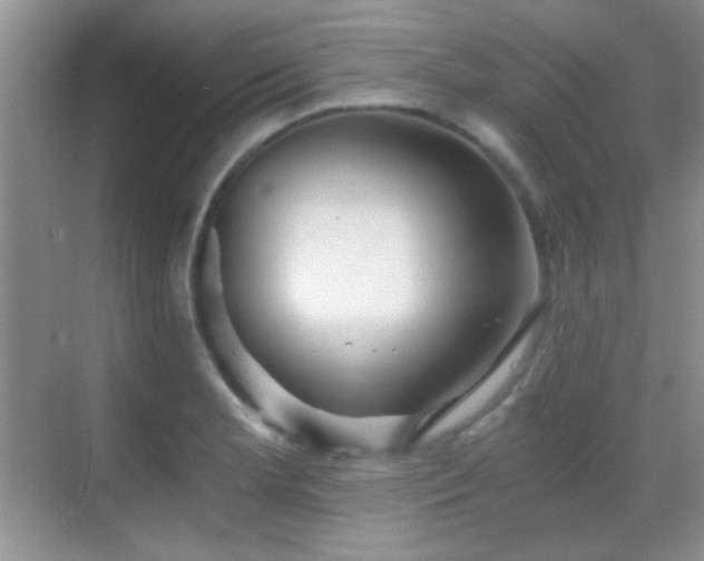 X0000069831181200605191132