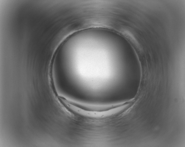 X0000069831182200605191132