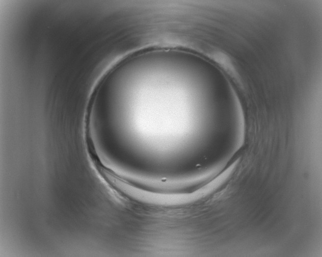 X0000069831183200605191132