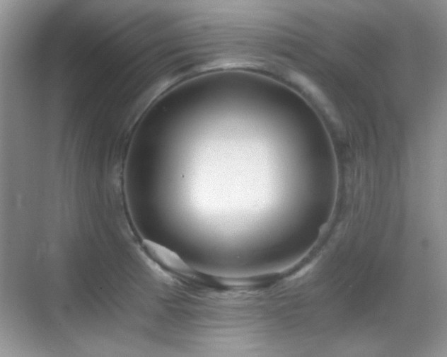 X0000069831185200605191132