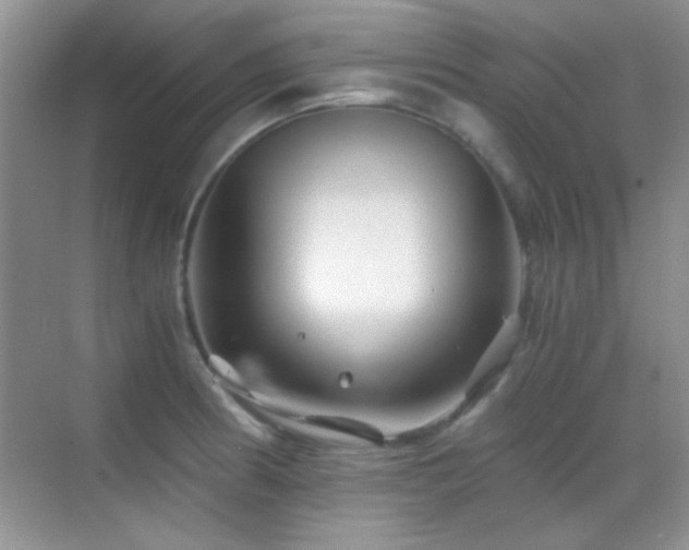 X0000069831186200605191132