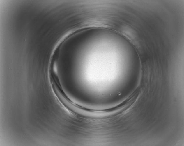 X0000069831188200605191132