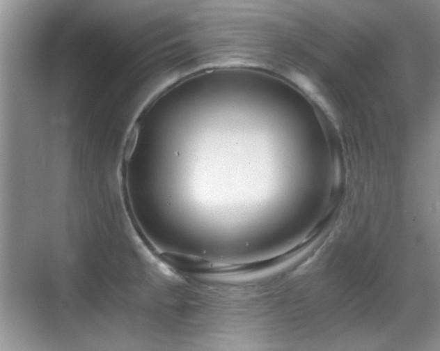 X0000069831189200605191132