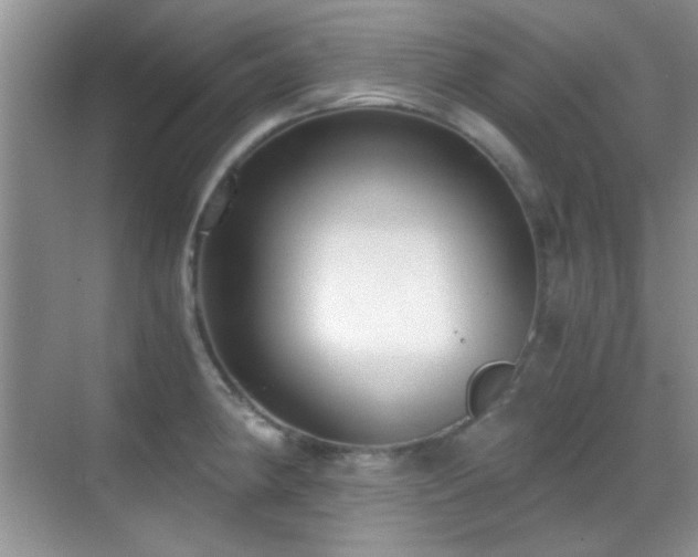 X0000069831190200605191132