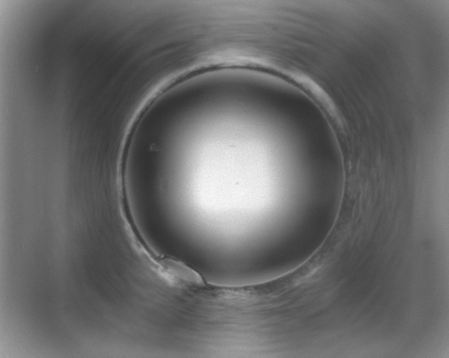 X0000069831191200605191132