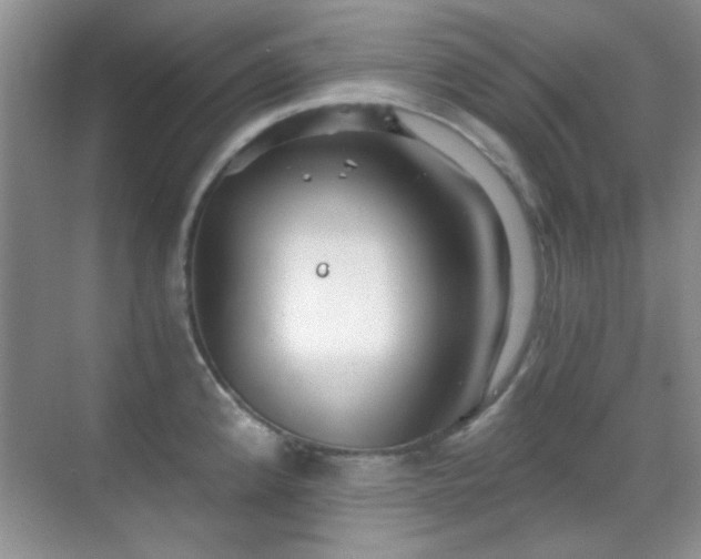 X0000069831192200605191132