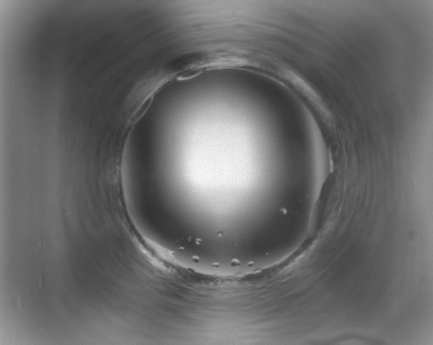 X0000069831193200605191132