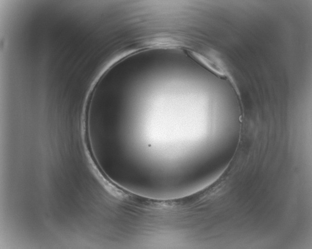 X0000069831195200605191132