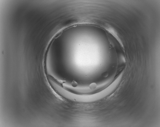 X0000069831197200605191132