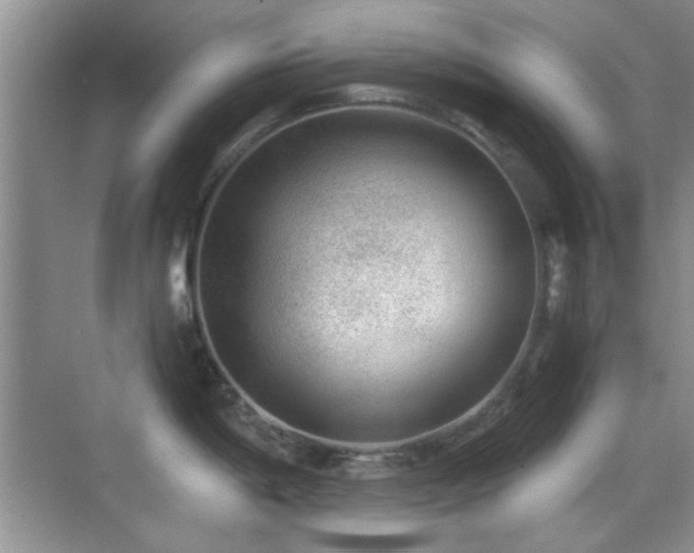 X0000069831198200605191131