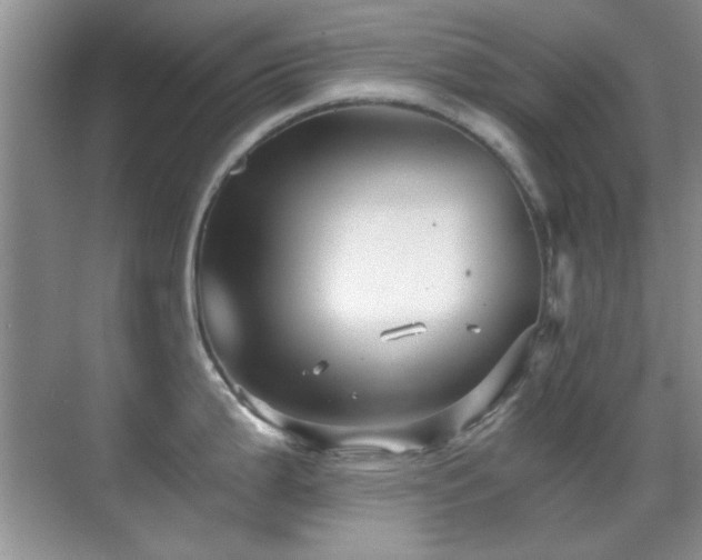 X0000069831199200605191131