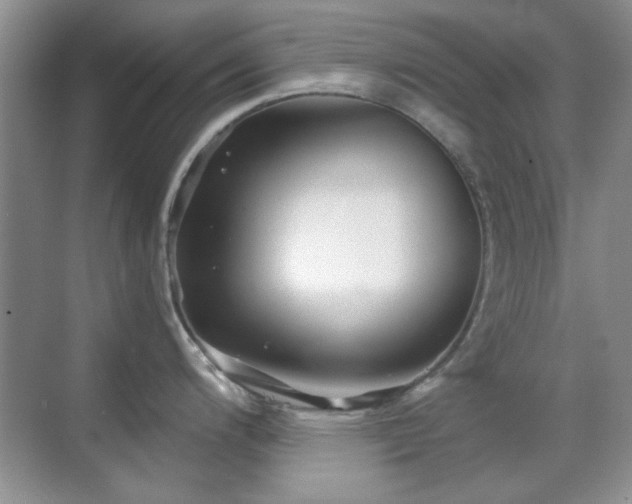 X0000069831200200605191131