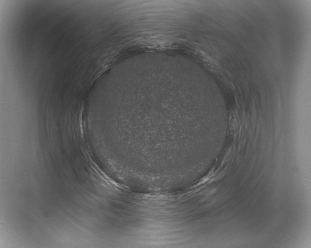 X0000069831202200605191131