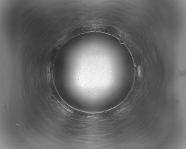 X0000069831203200605191131