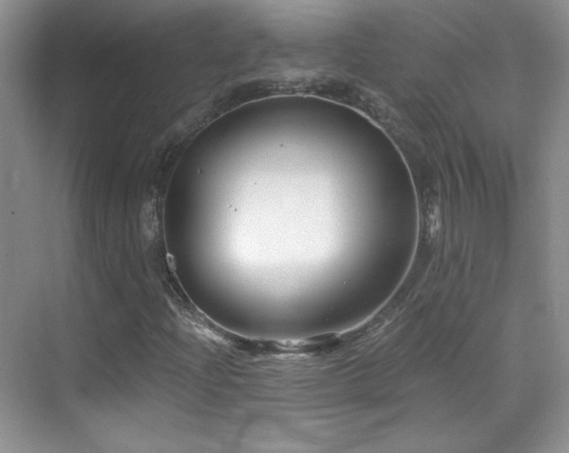 X0000069831204200605191131