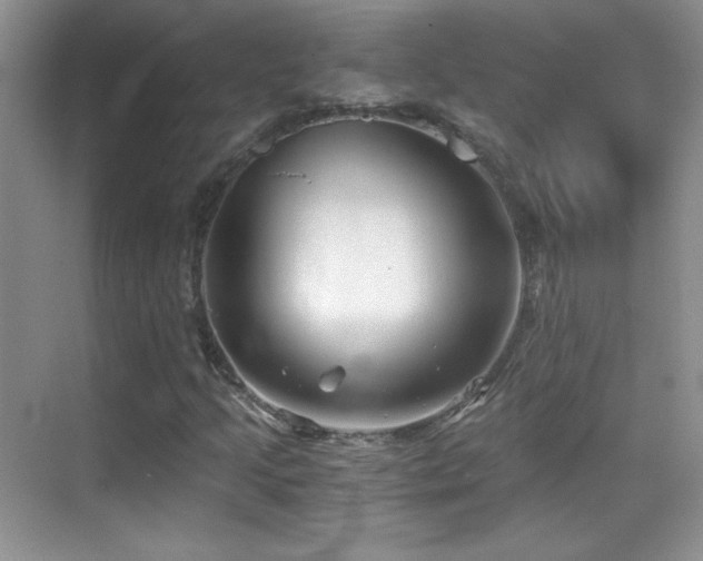 X0000069831205200605191131