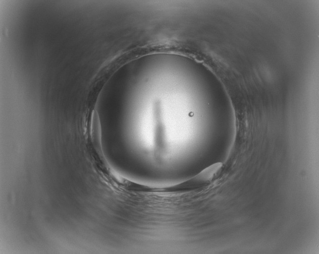 X0000069831206200605191131