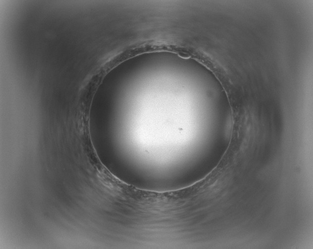 X0000069831207200605191131