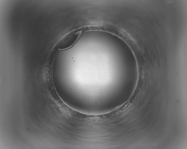 X0000069831208200605191131