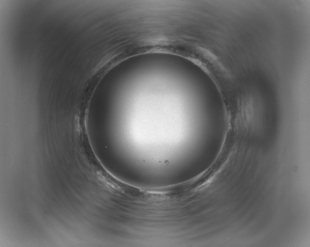 X0000069831209200605191131