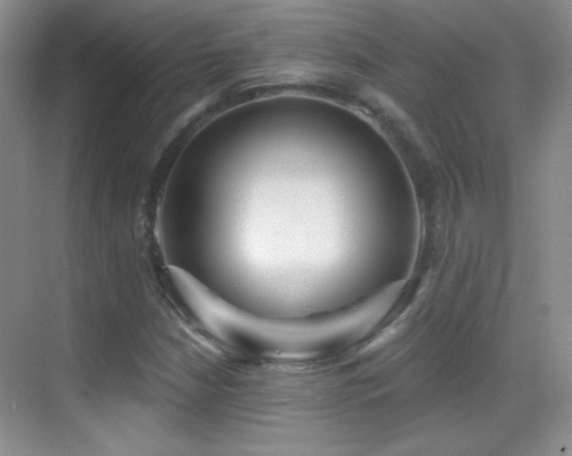 X0000069831210200605191131