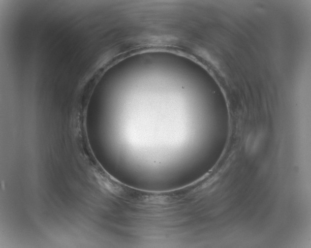 X0000069831211200605191131