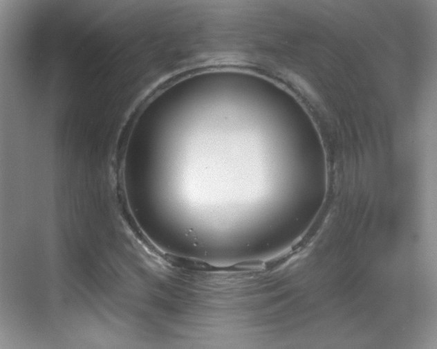 X0000069831212200605191131