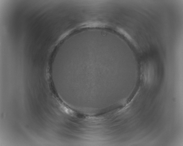 X0000069831213200605191131