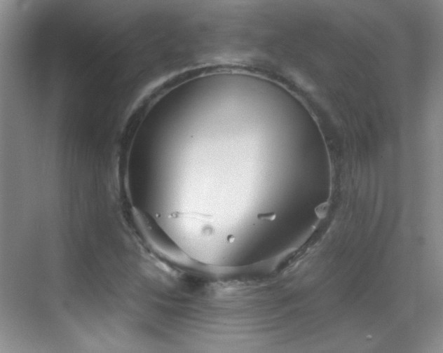 X0000069831214200605191131