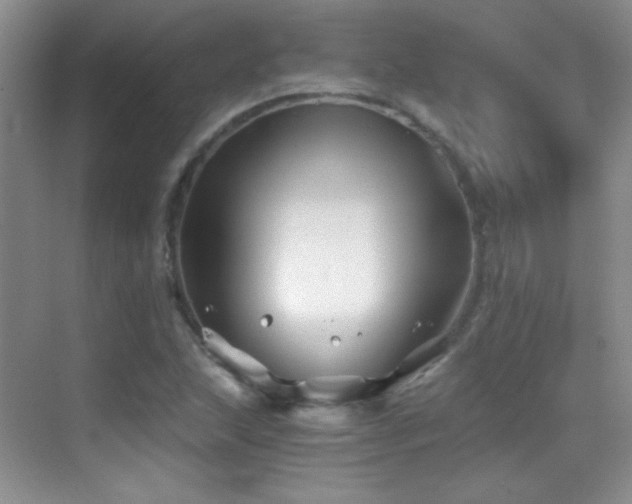 X0000069831215200605191131