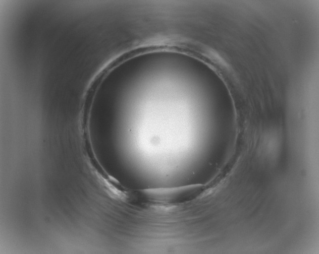 X0000069831216200605191131