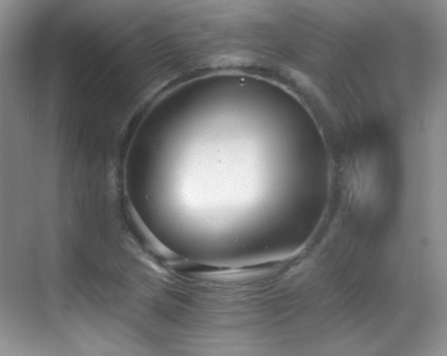 X0000069831217200605191131