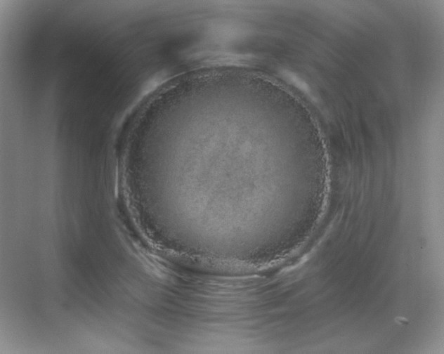 X0000069831219200605191131