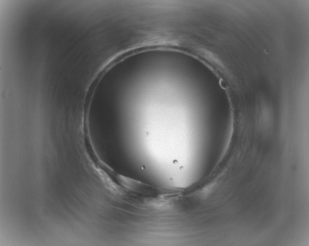 X0000069831220200605191131