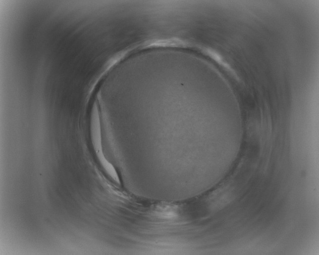 X0000069831221200605191131