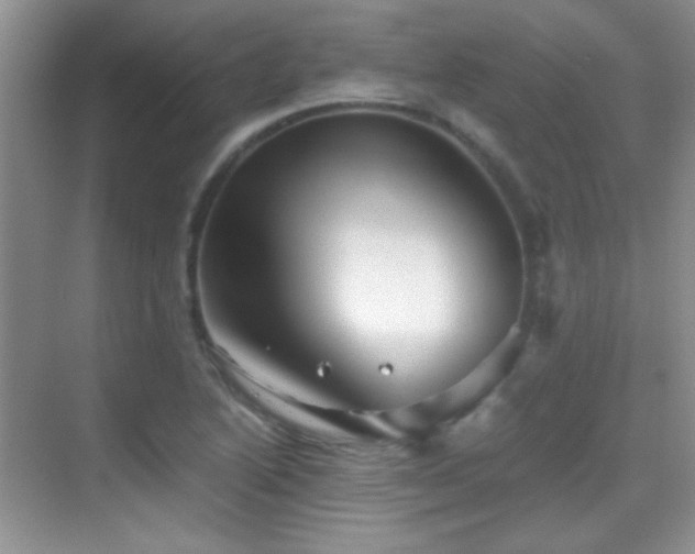 X0000069831222200605191131