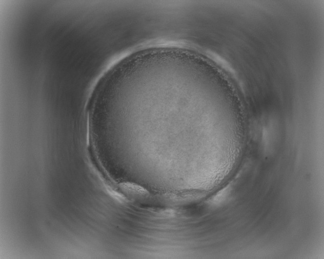 X0000069831223200605191131