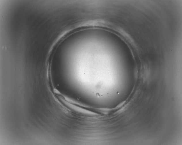 X0000069831224200605191131