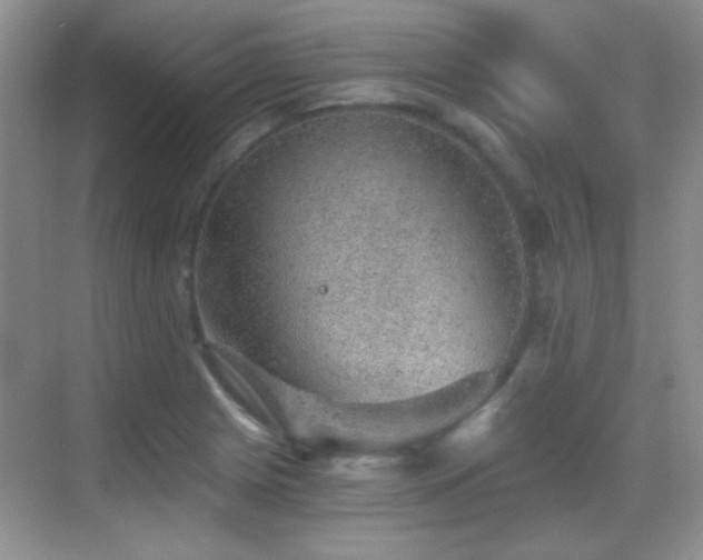 X0000069831225200605191131