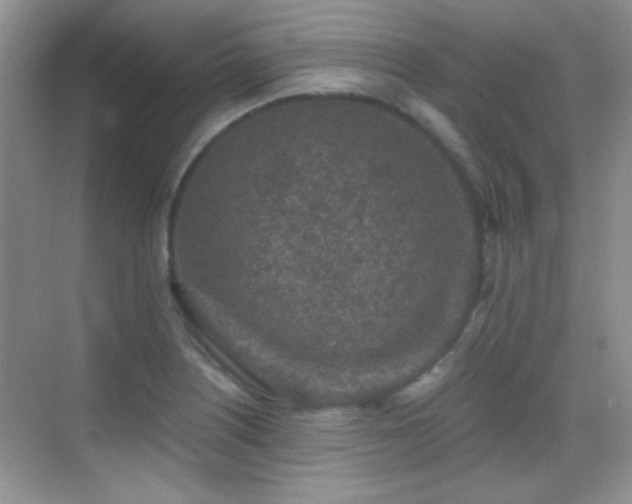 X0000069831226200605191131