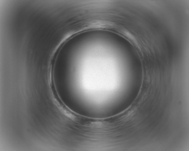 X0000069831227200605191131