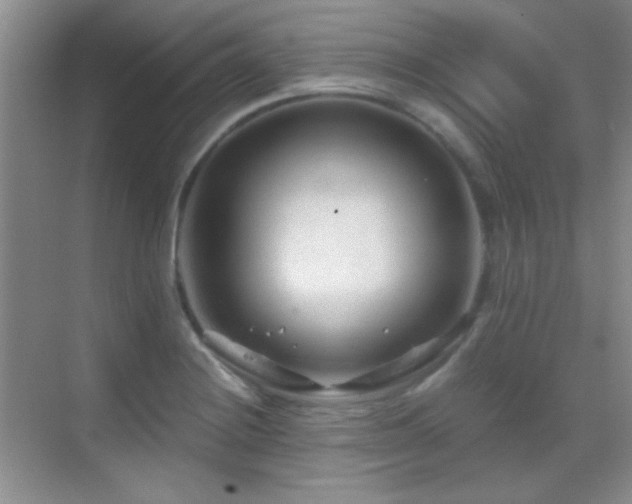 X0000069831228200605191131