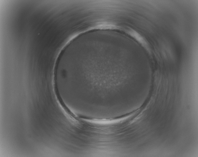 X0000069831229200605191131