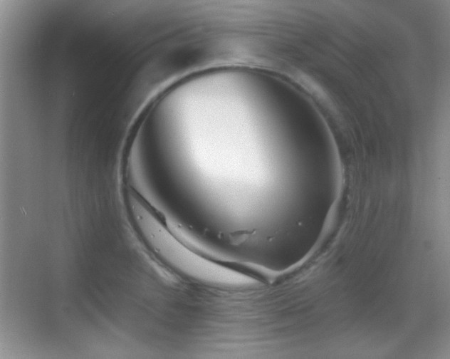 X0000069831230200605191131