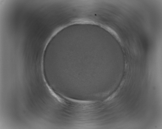 X0000069831231200605191131