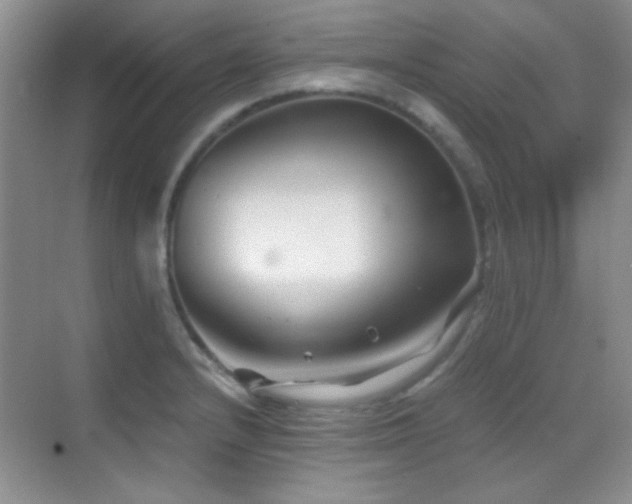 X0000069831232200605191131